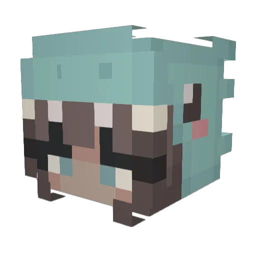 rrainyday Minecraft avatar head, 3D render