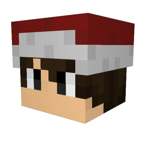 rrak124 Minecraft avatar head, 3D render