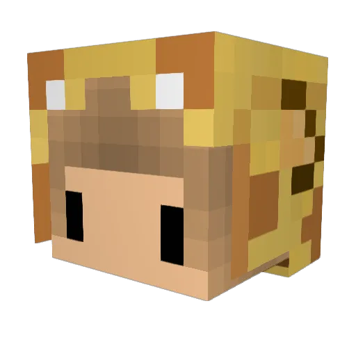 rraskyb Minecraft avatar head, 3D render