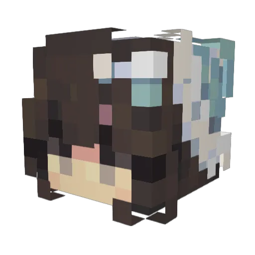 rrde Minecraft avatar head, 3D render