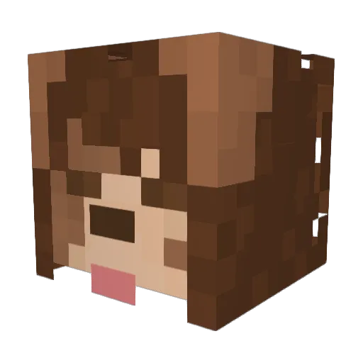 rredr0bin Minecraft avatar head, 3D render