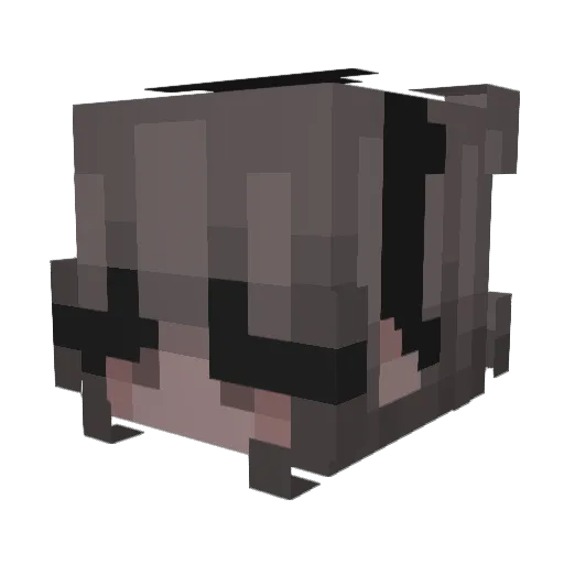 rreiz Minecraft avatar head, 3D render