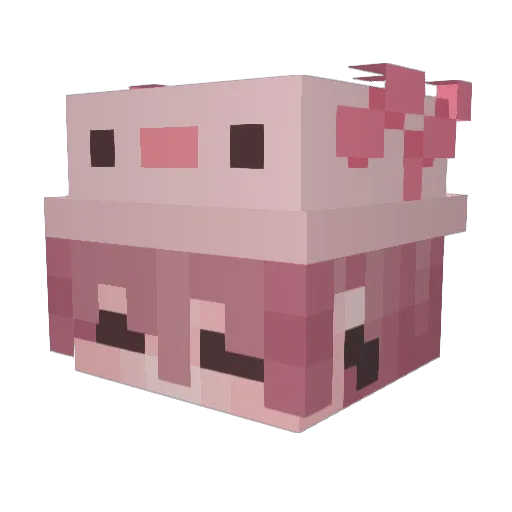 rren19 Minecraft avatar head, 3D render