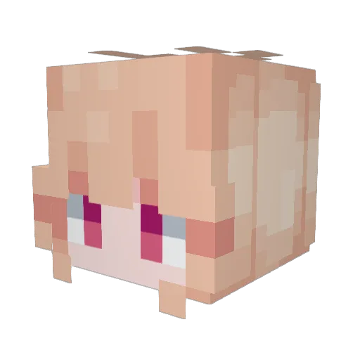 rrenaissancee Minecraft avatar head, 3D render