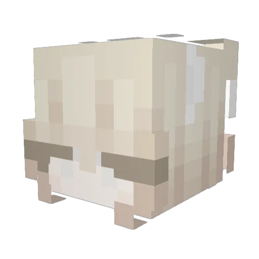 rriae Minecraft avatar head, 3D render
