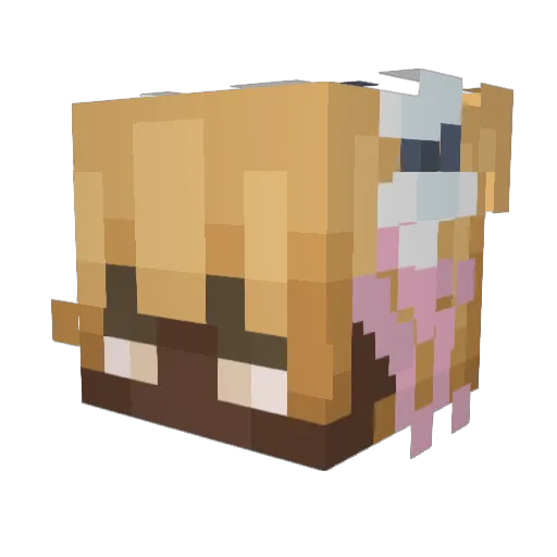 rrrrrrishkaa2 Minecraft avatar head, 3D render