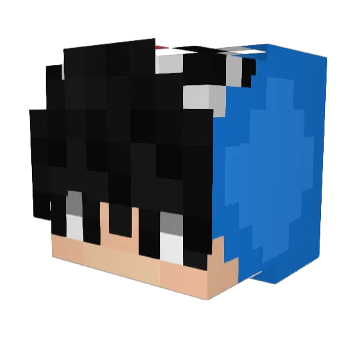 rrrrrrrrrrrrrrry Minecraft avatar head, 3D render