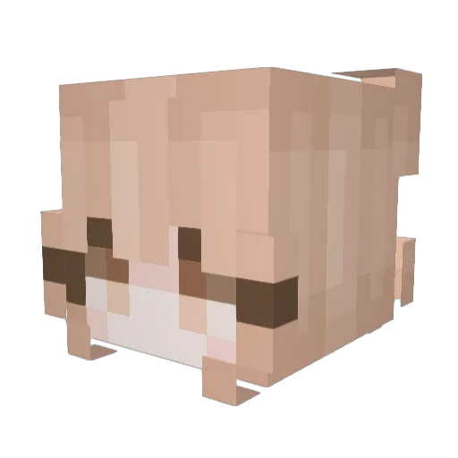 rrrv Minecraft avatar head, 3D render