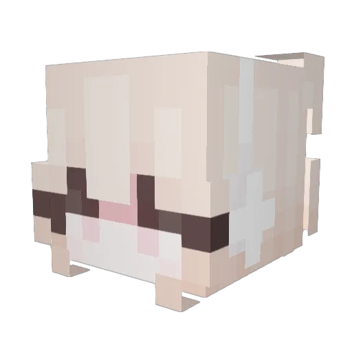 rrss Minecraft avatar head, 3D render