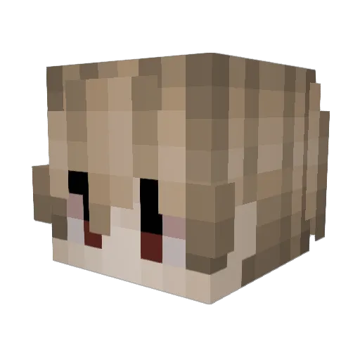 rrvc__ Minecraft avatar head, 3D render