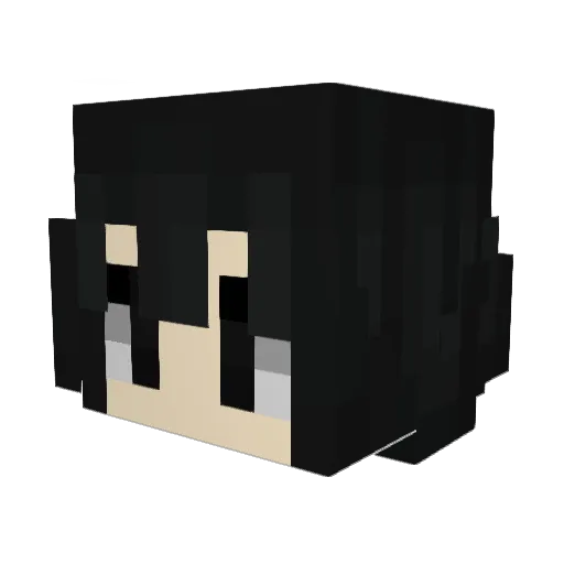rrvc__ Minecraft avatar head, 3D render