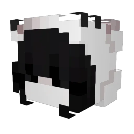 rrwottenn Minecraft avatar head, 3D render