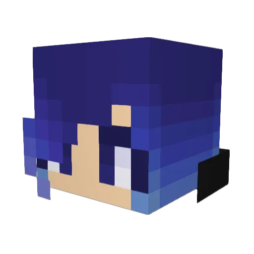 rrxylee Minecraft avatar head, 3D render