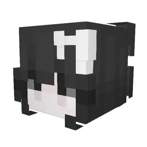 rryl Minecraft avatar head, 3D render