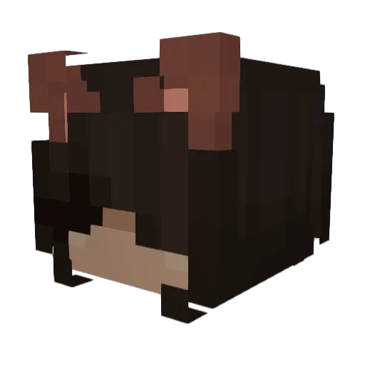 rrys Minecraft avatar head, 3D render