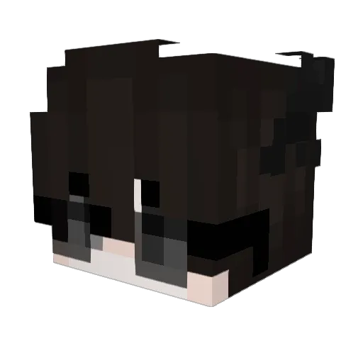 rsHoki Minecraft avatar head, 3D render