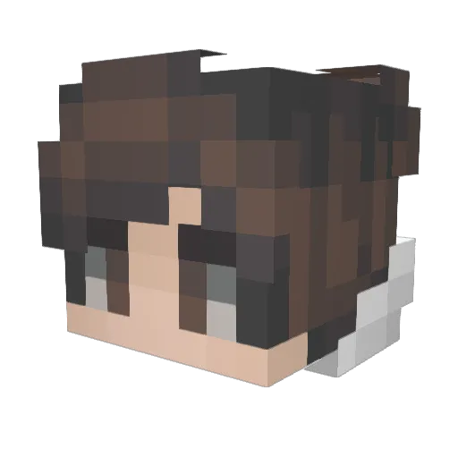 rsauex Minecraft avatar head, 3D render