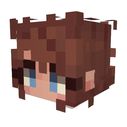 rsbx_ Minecraft avatar head, 3D render