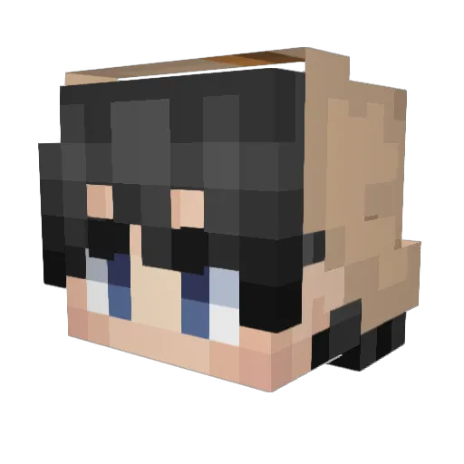 rsby Minecraft avatar head, 3D render