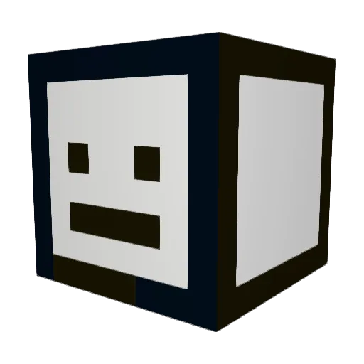 rsj317 Minecraft avatar head, 3D render