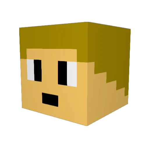 rskjetlein Minecraft avatar head, 3D render