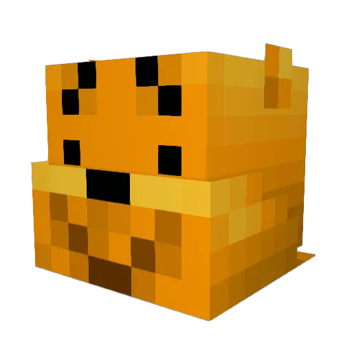 rsl1002 Minecraft avatar head, 3D render