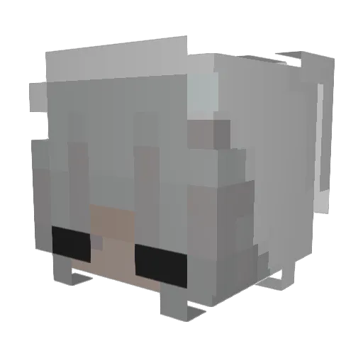 rsry36 Minecraft avatar head, 3D render
