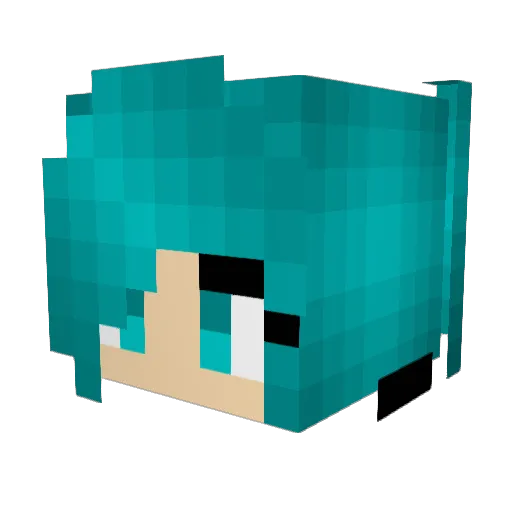 rsve Minecraft avatar head, 3D render