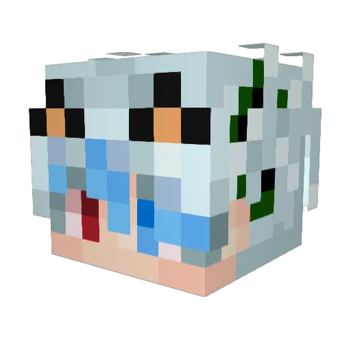 rsy123 Minecraft avatar head, 3D render