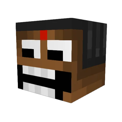 rt2t Minecraft avatar head, 3D render