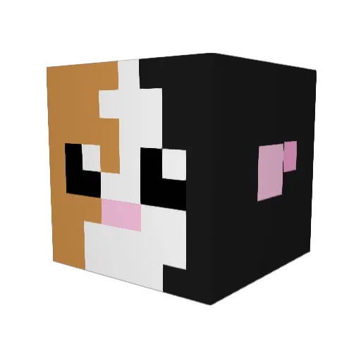 rt762 Minecraft avatar head, 3D render