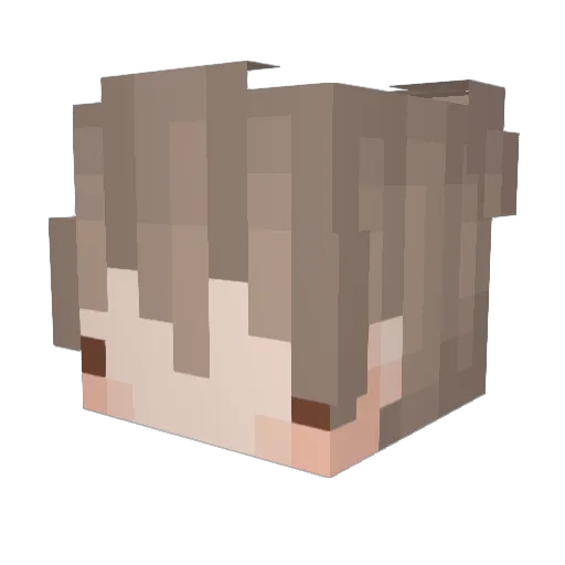 rt_hur Minecraft avatar head, 3D render