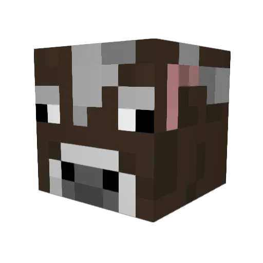 rtcabooservb Minecraft avatar head, 3D render