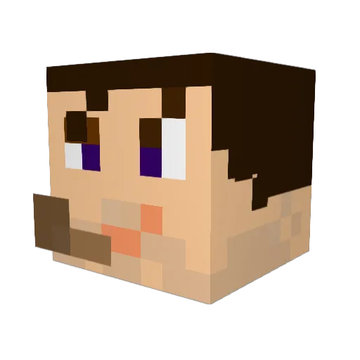 rtkwe Minecraft avatar head, 3D render