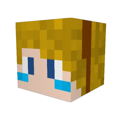 rty50406 Minecraft avatar head, 3D render