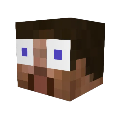 ru1er995 Minecraft avatar head, 3D render