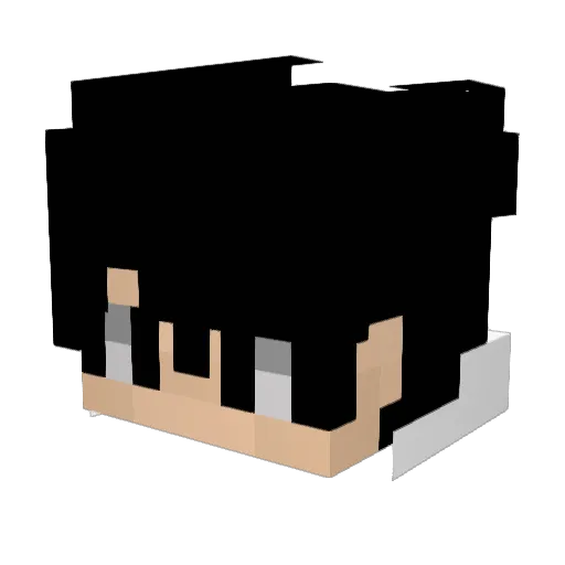 ruannzzgb Minecraft avatar head, 3D render