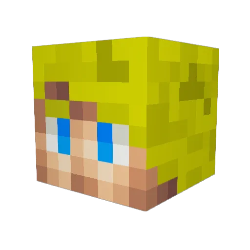 ruari342 Minecraft avatar head, 3D render