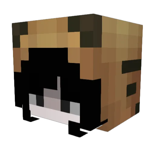 ruawr Minecraft avatar head, 3D render