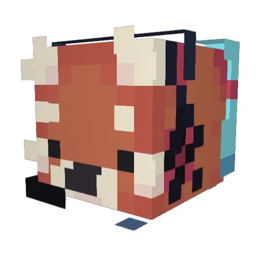 rubXwastaken Minecraft avatar head, 3D render