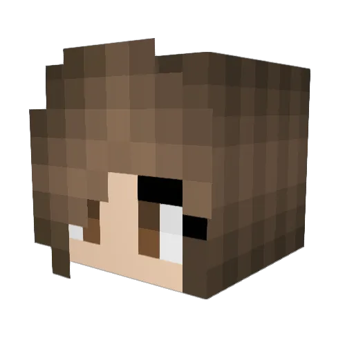 rubberninja34 Minecraft avatar head, 3D render