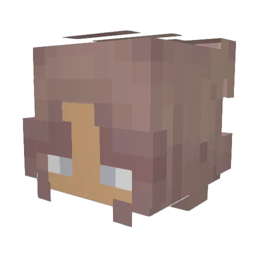 rubertcube Minecraft avatar head, 3D render