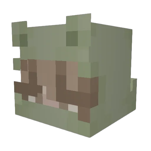 rubiinnn Minecraft avatar head, 3D render