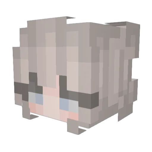 rubit729 Minecraft avatar head, 3D render
