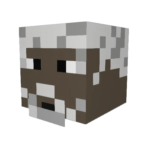 rubix98 Minecraft avatar head, 3D render