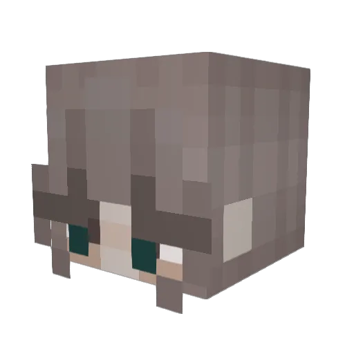 rubixcubeddd Minecraft avatar head, 3D render
