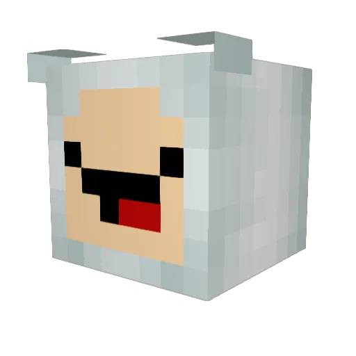 rubs1357 Minecraft avatar head, 3D render
