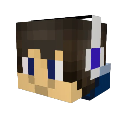 rubs93toss Minecraft avatar head, 3D render