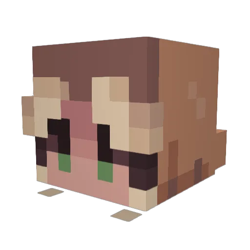 rubyaesthetic27 Minecraft avatar head, 3D render