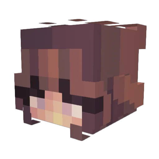 rubybonk Minecraft avatar head, 3D render